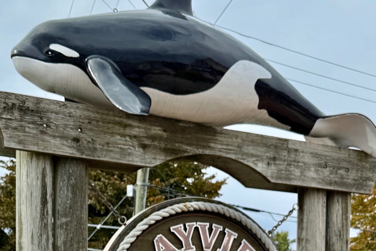 Why Steveston Might Be the Most Stroller-Friendly Village in Metro Vancouver